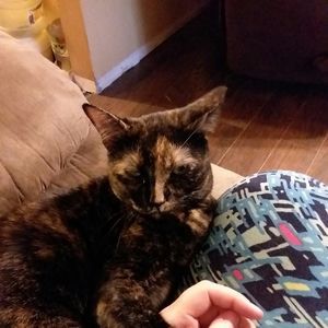 Meet your Posher, Jordan